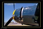 Mottys-Avenger-EN-100-VH-MML-2008_10_25-6026-LR-1-001