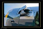 Mottys-Avenger-EN-110-VH-MML-2009-04-17_8308-LR-1-001