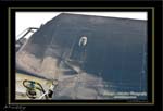 Mottys-Avenger-LW-0162-VH-MML-2009_08_25_065411-LR