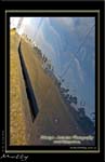 Mottys-Avenger-LW-0169-VH-MML-2009_08_25_064751-LR