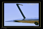 Mottys-Avenger-LW-0171-VH-MML-2008_10_25-6051-LR-1-001