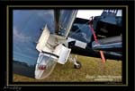 Mottys-Avenger-LW-0191-VH-MML-2009_08_25_064656-LR