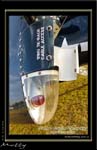 Mottys-Avenger-LW-0194-VH-MML-2009_08_25_070739-LR