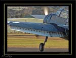 Mottys-Avenger-LW-0220-VH-MML-2009_05_24_7918-LR