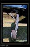 Mottys-Avenger-RW-0041-VH-MML-2008_10_25-6036-LR-1-001