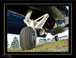 Mottys-Avenger-TW-0008-VH-MML-2009_08_25_065709-LR