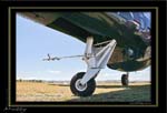 Mottys-Avenger-TW-0011-VH-MML-2008_10_25-6042-LR-1-001