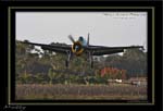 Mottys-Avenger-VH-MML_2009_05_24_7890-LR-1-001