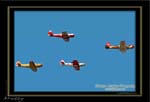 Mottys-Russian-Roulettes_2008_09_27_6738-LR-1-1-001