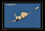 Mottys-Strikemaster_2008_09_27_6933-LR-1-001