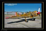 Mottys-YAK-VH-WKO_2008_09_26_4538-LR-1-001