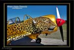 Mottys-YAK-VH-WKO_2008_09_26_4542-LR-1-001