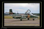 Mottys-Dragonfly-VH-AZD-2-2008_10_26-6634-LR-1-001