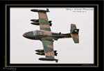 Mottys-Dragonfly-VH-AZD-2008_10_26_2347-LR-1-001