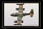 Mottys-Dragonfly-VH-AZD-2008_10_26_2350-LR-1-001