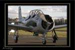 Mottys-04-Trojan-Temora-19MAY07-002