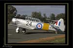Mottys-05-Harvard-Temora-19MAY07-001