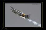 Mottys-05-Harvard-Temora-19MAY07-003