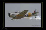 Mottys-05-Harvard-Temora-19MAY07-006