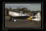 Mottys-05-Harvard-Temora-19MAY07-008