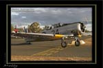 Mottys-05-Harvard-Temora-19MAY07-009