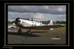 Mottys-05-Harvard-Temora-19MAY07-010