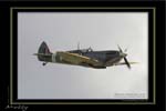 Mottys-09-SpitXVII-Temora-19MAY07-009