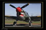 Mottys-10-Kittyhawk-Temora-19MAY07-005