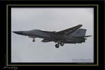 Mottys-14-Pig-Temora-19MAY07-001