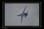 Mottys-14-Pig-Temora-19MAY07-004